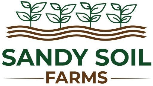 Incu-bright Egg Candler - Sandy Soil Farms