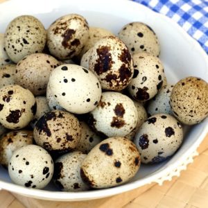 Farm Fresh Quail Eggs Hand Gathered Pasture Raised Best Before Date Sq –  Sniggle Sloth