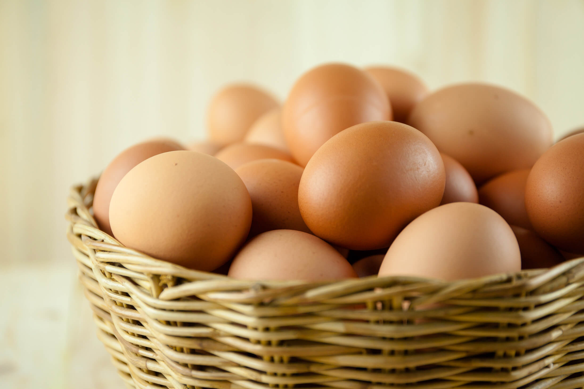 American Bresse Chicken Eggs