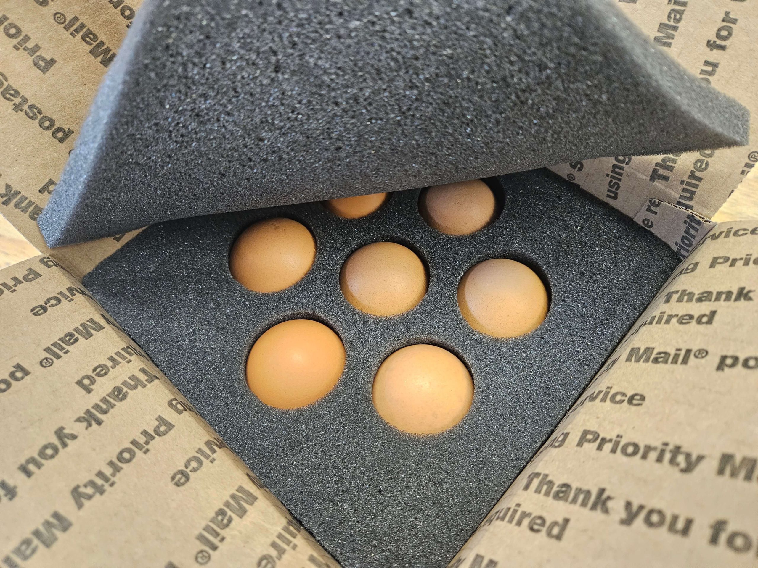 American Bresse Hatching Egg Shippers