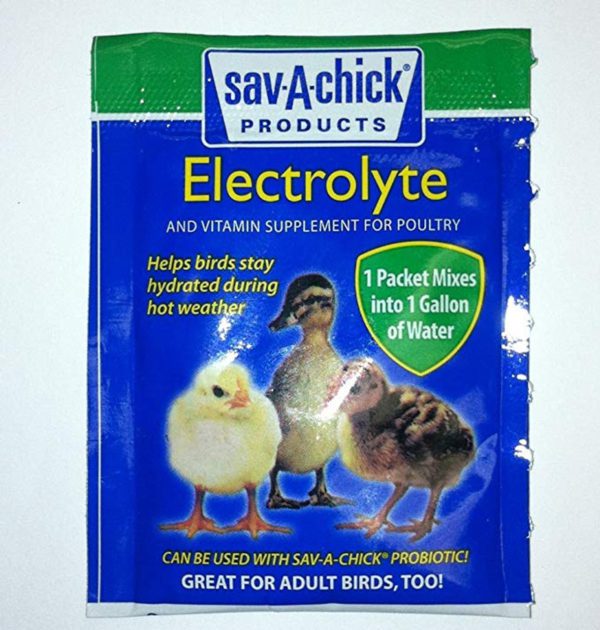 Chick Electrolyte